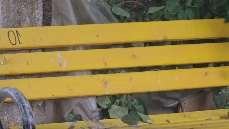 banci galbene de 120 000 de lei in comuna fara canalizare primarul se mandreste cu investitia 68a6dd9e5ed43