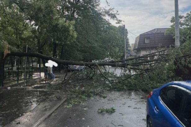 bilant igsu dupa furtunile care au lovit romania 3 oameni au murit 240 de copaci doborati de vant si 73 de masini avariate in 78 de localitati din 18 judete 68a983f3db38d