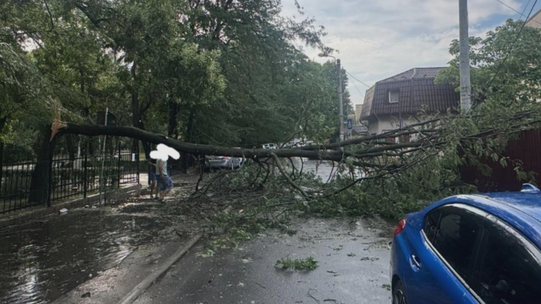 bilant igsu dupa furtunile care au lovit romania 3 oameni au murit 240 de copaci doborati de vant si 73 de masini avariate in 78 de localitati din 18 judete 68a983f3db38d