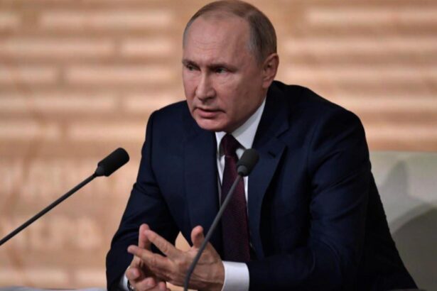 cum arata presupusul fiu secret al lui vladimir putin in varsta de 10 ani imaginile au fost publicate de un canal legat de serviciile secrete 68af5e1b7d665