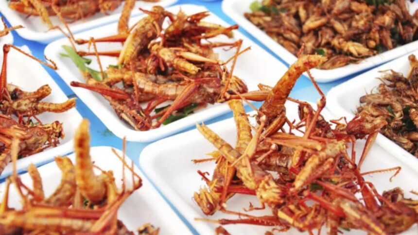 cum sa descoperi daca produsele de la raft contin faina de insecte detaliul de pe eticheta care ii da de gol pe producatorii necinstiti 68b2eed1b85df