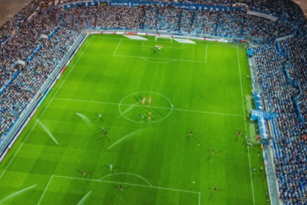 echipa de fotbal care interzice consumul de seminte de floarea soarelui pe stadion trebuie sa garantam sanatatea in tribune 68a76d09b2c65