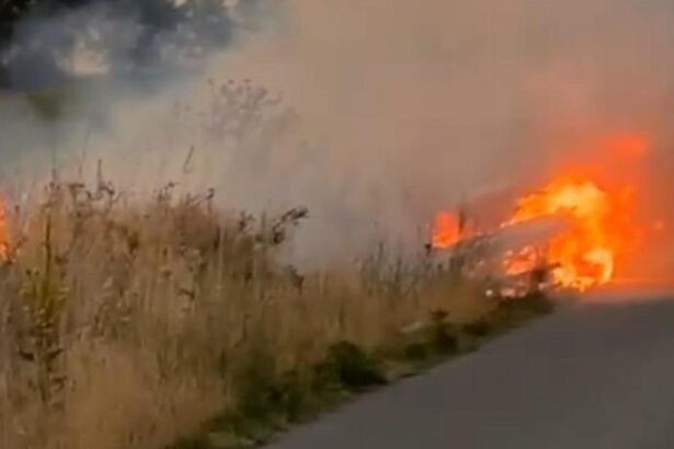 incendiu masiv in teleorman 80 de hectare mistuite de flacari 68ade817863f4
