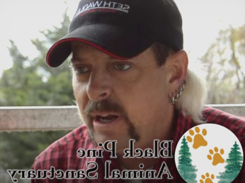 joe exotic sues animal sanctuary for allegedly spaying neutering tigers 68b21816c554f