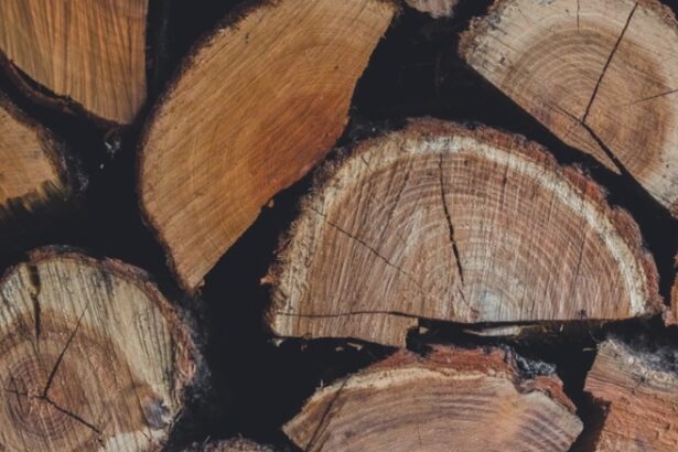 lemne scumpe foc romanii platesc si 600 de lei pe metrul cub 68b44d0ca9872