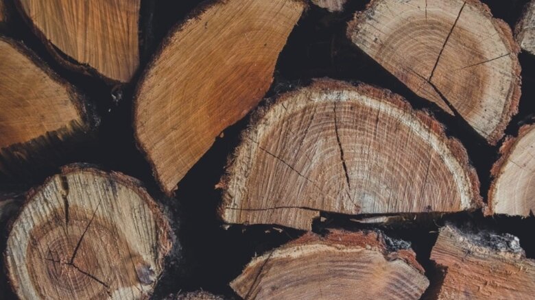 lemne scumpe foc romanii platesc si 600 de lei pe metrul cub 68b44d0ca9872