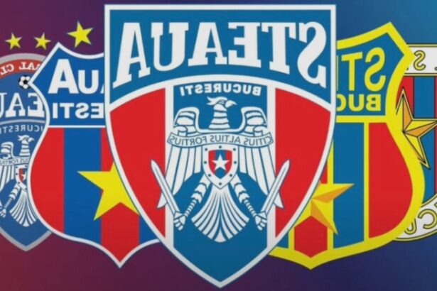 ministrul apararii ionut mosteanu nu este de acord cu investirea de bani publici in clubul de fotbal steaua nu poti sa faci performanta pe bani publici 68aea189d7411