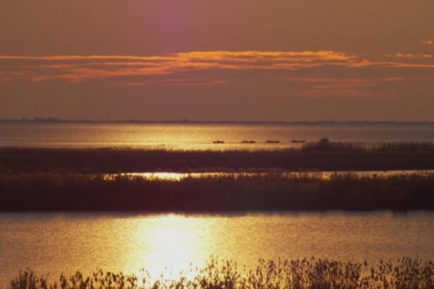 nivelul apei din complexul razim sinoe tot mai scazut semnalul de alarma tras de specialisti 68ac51a3c26d7