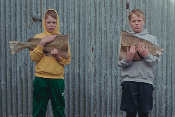 oscars iceland picks the love that remains as best intl feature submission 68aeed609b719