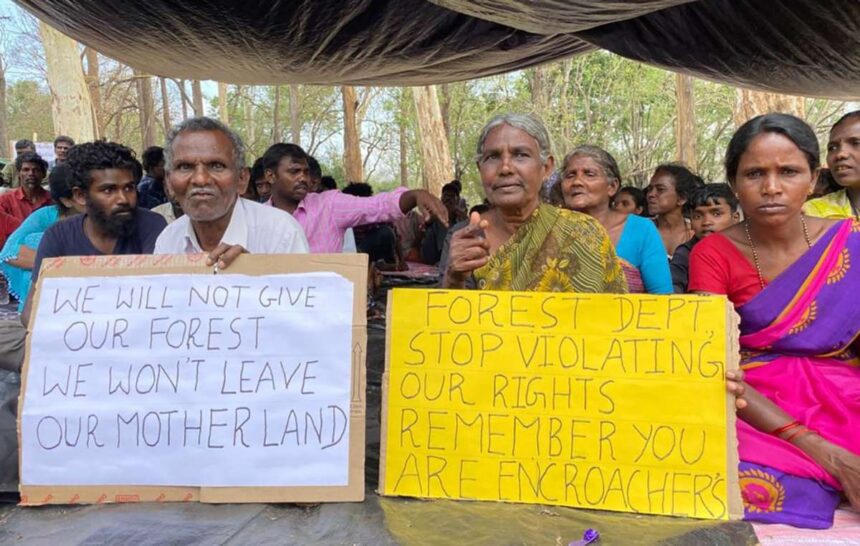 people v tigers evicted indian tribe camp in reserve to reclaim ancient lands 68ad6aa76739e