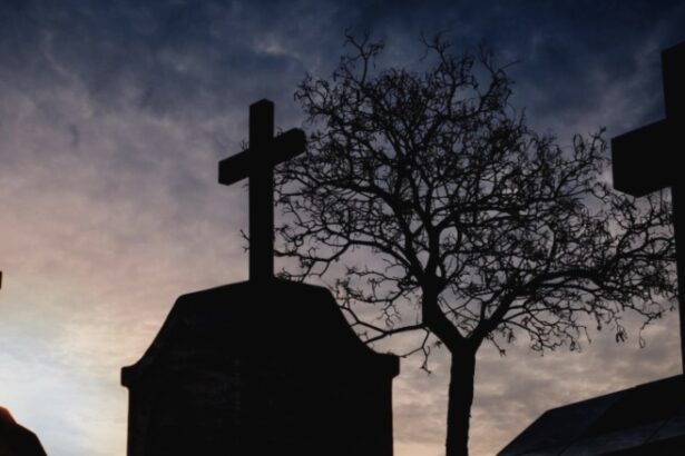 un fost director si politician din giurgiu si a pus capat zilelor chiar in cimitir din cauza datoriilor 68a6baa8dd0cb