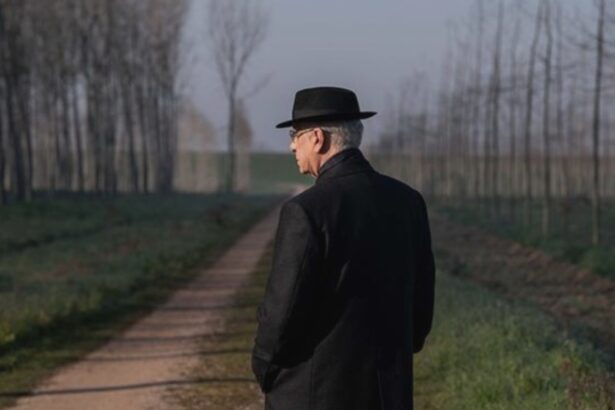 venice david rooneys top 10 must see titles 68aebe4dd5d32