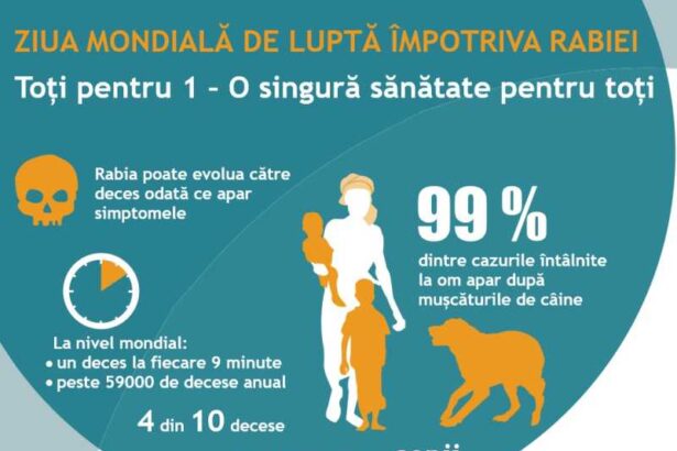 28 septembrie ziua mondiala de lupta impotriva rabiei oms 68d8d14614627