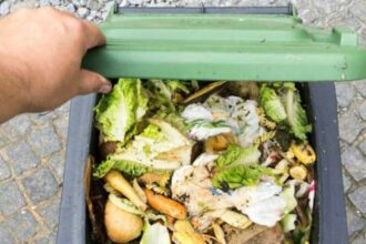 29 septembrie ziua internationala de constientizare a risipei alimentare onu 68da2e84d6083