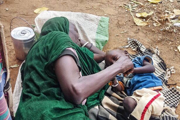 a donkey cart out of el fasher costs more than a new car how 500 days under siege is tearing the city apart 68d8f3bfda7ee