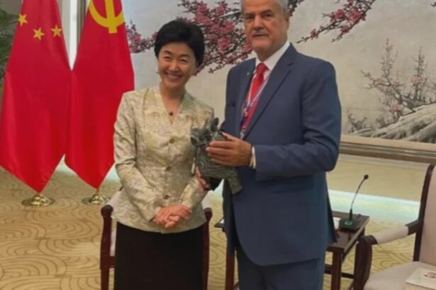 adrian nastase singurul roman invitat oficial de presedintele chinei la marea parada de la beijing 68b6f9c419481