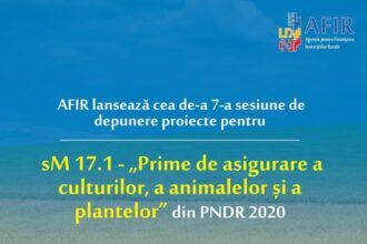 afir primeste cereri de finantare pentru submasura 17 1 prime de asigurare a culturilor a animalelor si a plantelor incepand de joi 68d4b294ef972