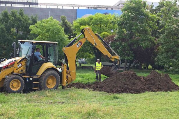 baluta Yg2yXNgvLZfBnL5l