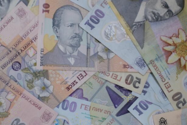 barna institutiile statului nu vor mai primi bani la rectificarea bugetara trebuie sa se descurce 68b9318816745