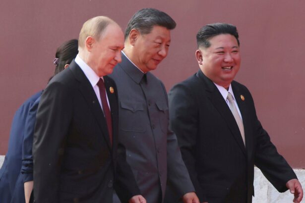 brainless bodies and pig organs does science back up putin and xis longevity claims 68bd52f638ece