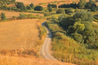 cand va avea loc echinoctiul de toamna si ce se va intampla din punct de vedere astral odata cu acest eveniment zodiile afectate 68c9233902186