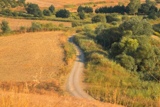 cand va avea loc echinoctiul de toamna si ce se va intampla din punct de vedere astral odata cu acest eveniment zodiile afectate 68c9233902186