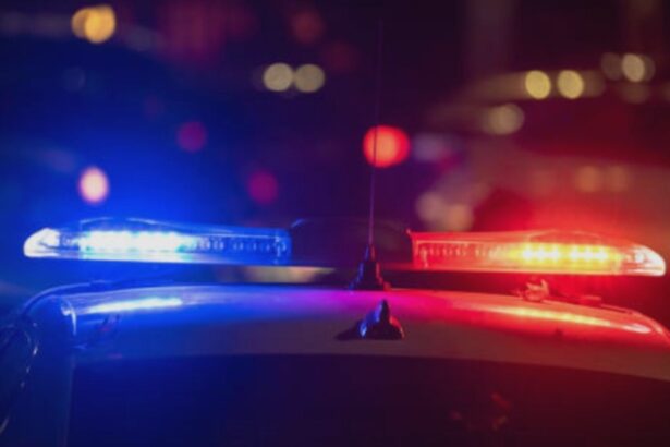 caz tragic in dolj o femeie de 65 de ani a murit intr un incendiu de vegetatie extins la o gospodarie 68bae45ec0014