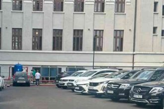 Val de leșinuri la Primăria Sectorului 1, angajații se revoltă împotriva lui George Tuță: „De la ora 12.00 nu mai avem nici hârtie igienică” 20 ciobanu AR03WgrnweTZMnwX