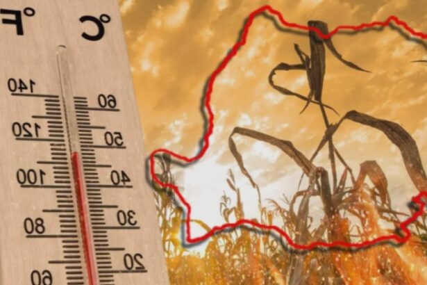 cod galben de canicula in 10 judete din tara care sunt zonele vizate harta 68bbed73a4079