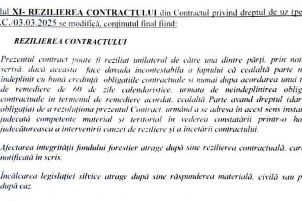 contract romsilva Awv8XJGWZLHD7MGl