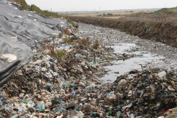 cosmarul reciclarii in capitala doar 15 din deseuri sunt tratate garda de mediu a aplicat amenzi de peste 400 000 de lei 68c43af32cd94