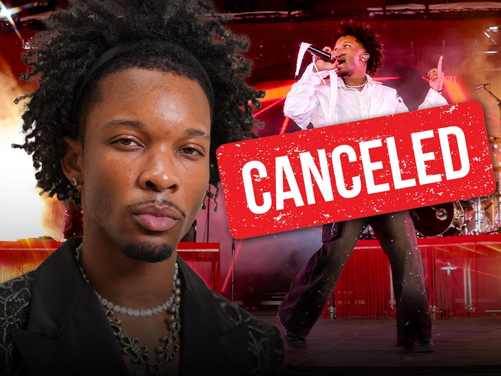 d4vd u s tour canceled in wake of homicide investigation 68cd6878f41a0