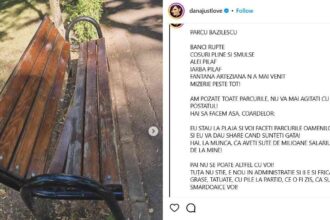 Stilista Dana Budeanu, val de jigniri la adresa angajaților Primăriei Sectorului 1. George Tuță tace și execută indicațiile 14 dana budeanu AzGNrBBDy5syp8zo