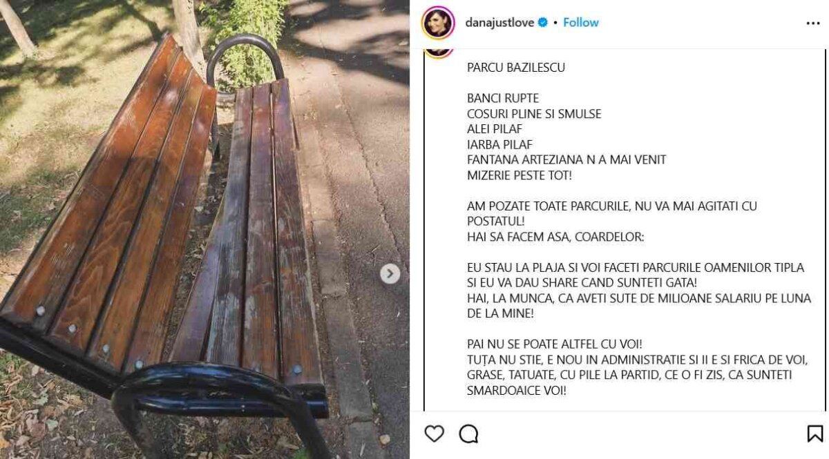 dana budeanu AzGNrBBDy5syp8zo