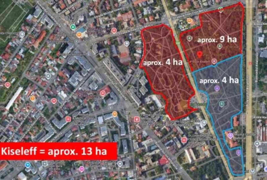 diana culescu AR01qEpl0VCaqeNx