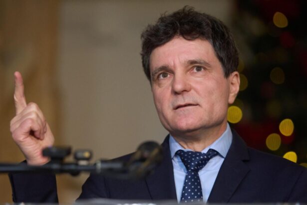 elena lasconi despre nicusor dan e un blestem asupra acestui popor sa puna in fruntea tarii forme fara fond au inceput sa cada mituri 68c194d20ce75