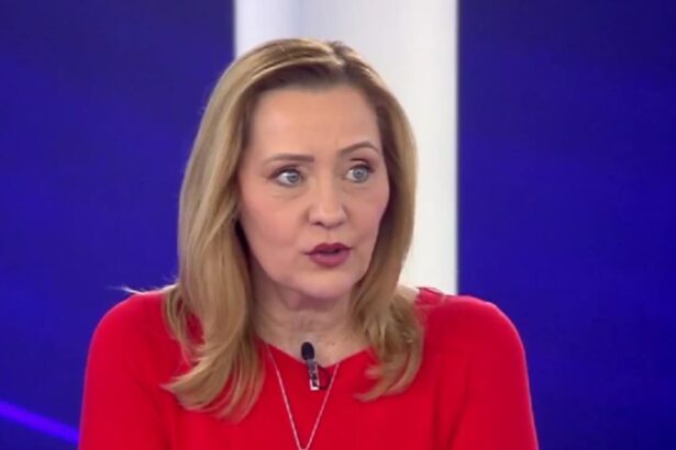 elena lasconi sustine ca aflase ca vor fi anulate alegerile varianta cu 27 noiembrie o stiam de la o jurnalista 68d0f4f8e6020