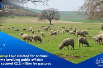 eppo crescator de oi din timis acuzat de o frauda cu fonduri europene de 22 milioane euro 68dbb84d0b9c3