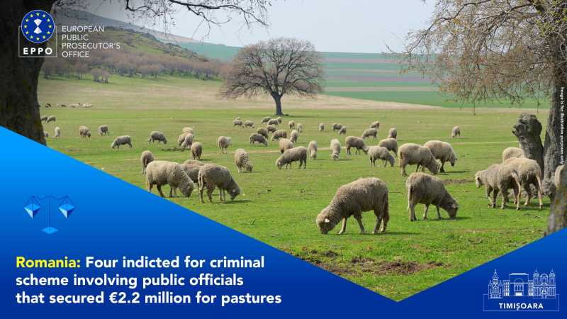eppo crescator de oi din timis acuzat de o frauda cu fonduri europene de 22 milioane euro 68dbb84d0b9c3