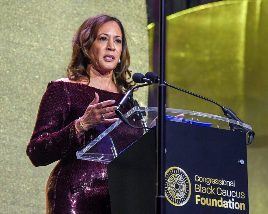 harris calls trump incompetent and unhinged and makes call to fight fire with fire 68da67fbc2ef7