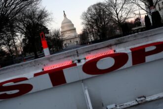 how does the u s stock market typically react to a government shutdown 68d6b916cb222