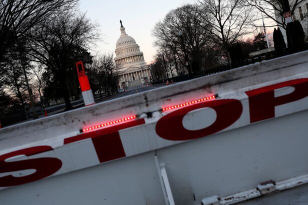 how does the u s stock market typically react to a government shutdown 68d6b916cb222
