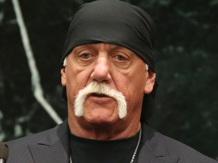 hulk hogan leaves nearly 5 million in assets grants brooke her wish 68c18808aa961
