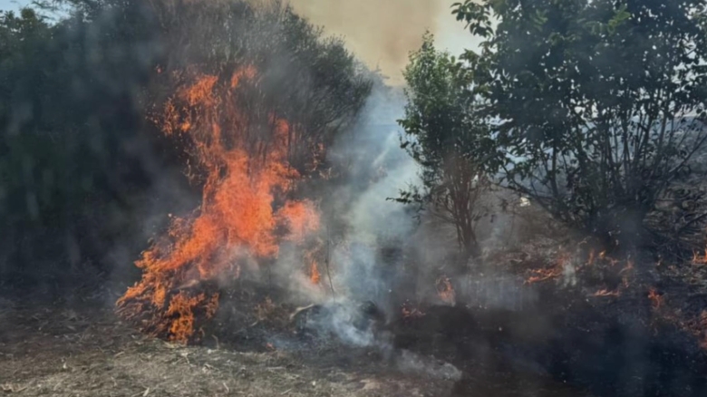 incendiu de vegetatie de proportii in giurgiu opt ore de lupta cu flacarile pentru salvatori 68b950557ed18