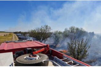 incendiu de vegetatie uscata pe 50 de hectare in teleorman flacarile extins la o livada si ameninta casele din zona 68d1554a91eca