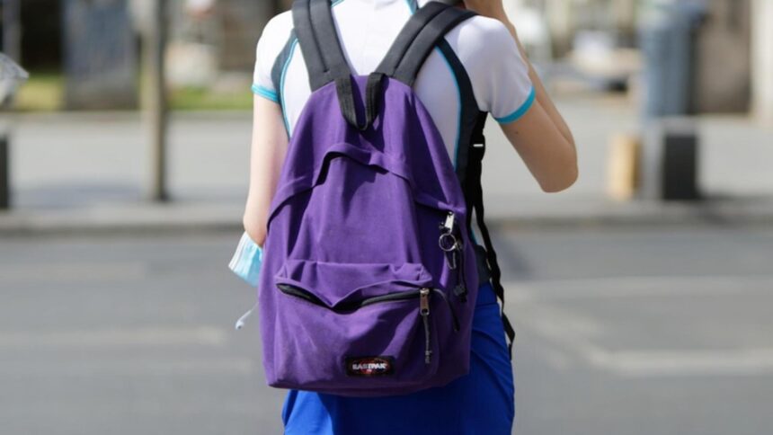 individ de 57 de ani retinut dupa ce ar fi agresat sexual o minora de 10 ani incidentul a avut loc pe un teren de fotbal 68cd3189d97f4