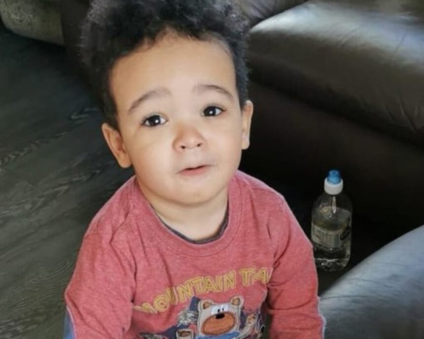 irish police find child remains in hunt for boy not marked as missing for four years 68cb029c89334