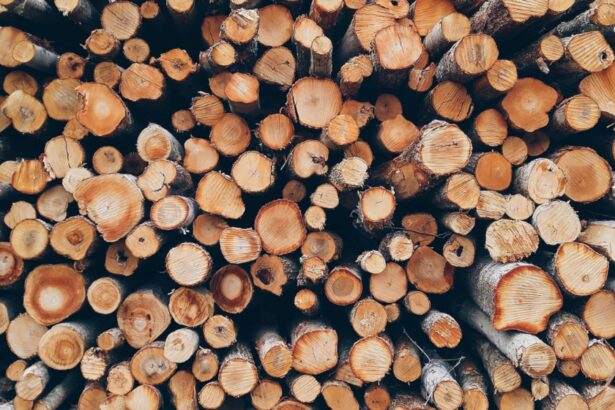 lemnele de foc din ce in ce mai scumpe 700 de lei pe metrul cub 68cd557dbf833