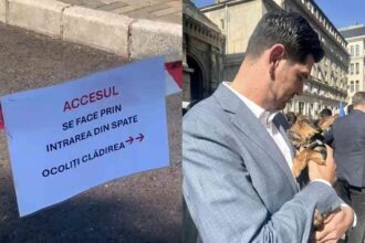 Primăria Sectorului 1, blocată pentru câteva țigle: Incompetența administrației Tuță, la vedere 18 merged dJobDrX8N0FVGWPl