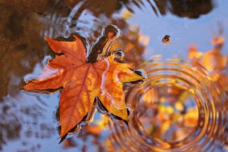 meteo 21 septembrie 2025 cum va fi vremea azi in tara 68cf7938839b6